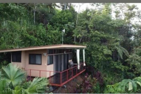 Tiny Home Above The Tree Tops